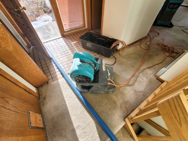 Best Water damage cleanup near me  in Mattituck, NY