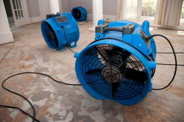 Best Carpet water damage restoration  in Mattituck, NY