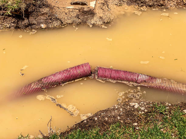 Best Water damage contractors near me  in Mattituck, NY
